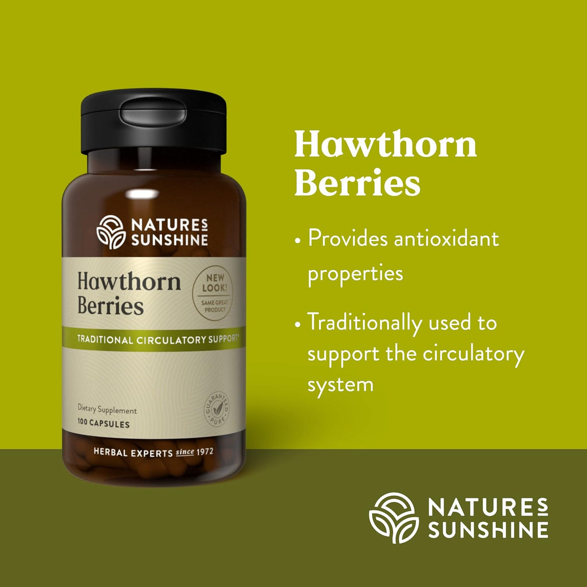 Nature's Sunshine Hawthorn Berries, 100 Capsules | Helps Enhance Heart Muscle Function and Provides Circulatory System Support